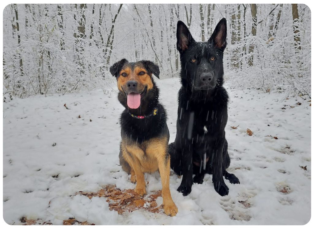 Návrh bez názvu - 2025-10-30T175435.999